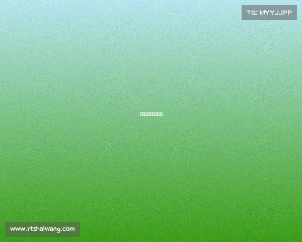 中国女排世锦赛战况